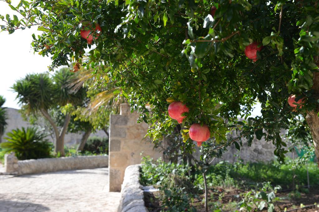 راغوزا Relais Cimilla B&B المظهر الخارجي الصورة